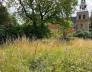 Wildplukwandeling in Pieterburen
